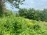 land for sale on ST ARNOULT (14800)